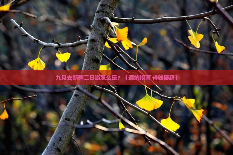 九月到新疆二日游