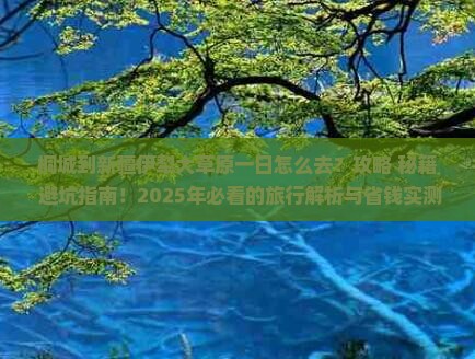 桐城到新疆伊犁大草原一日