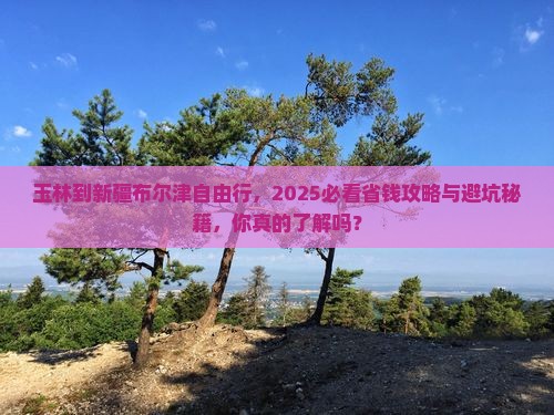 玉林到新疆布尔津自由行