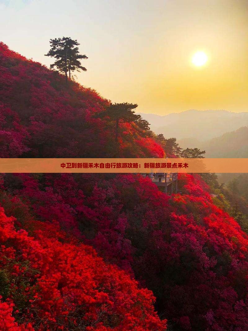 中卫到新疆禾木自由行