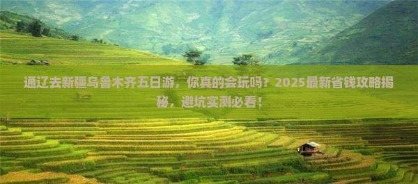 通辽去新疆乌鲁木齐五日游