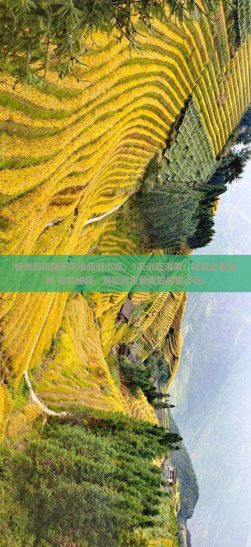 忻州到新疆布尔津旅游小吃