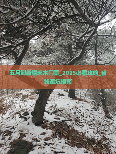 五月到新疆禾木门票