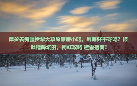 萍乡去新疆伊犁大草原旅游小吃