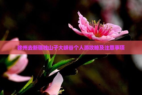 徐州去新疆独山子大峡谷个人游