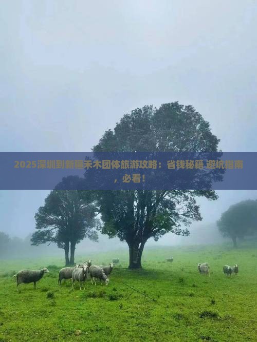 深圳到新疆禾木团体旅游