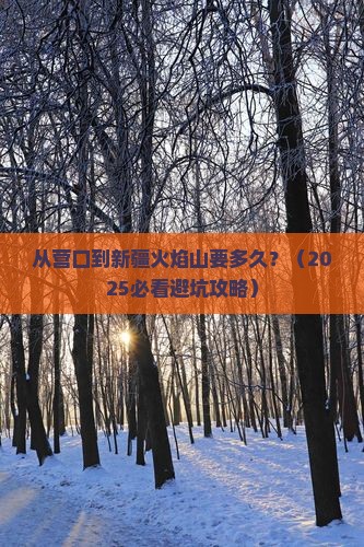 营口到新疆火焰山旅游