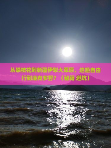 攀枝花到新疆伊犁大草原自由行