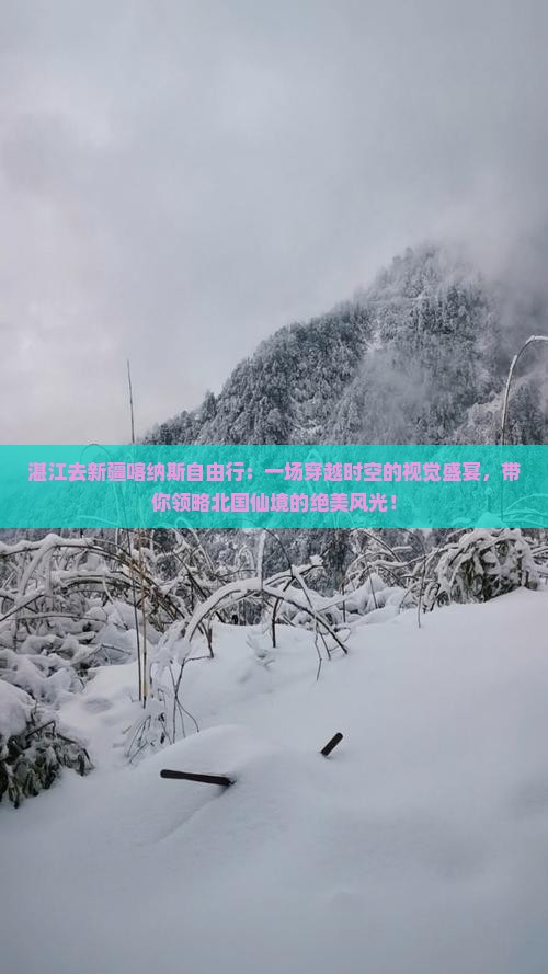 湛江去新疆喀纳斯自由行