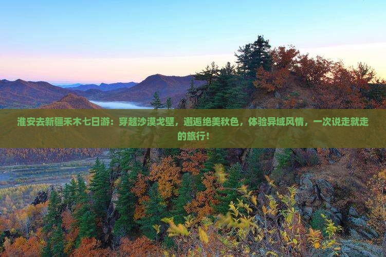淮安去新疆禾木七日游