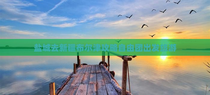 盐城去新疆布尔津自由团