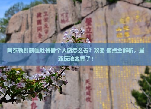 阿泰勒到新疆吐鲁番个人游