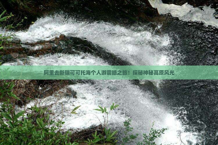 阿里去新疆可可托海个人游