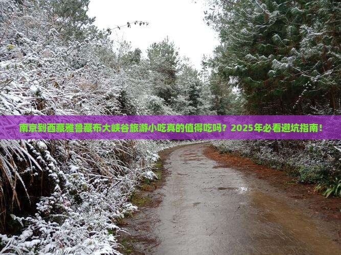 南京到西藏雅鲁藏布大峡谷旅游小吃