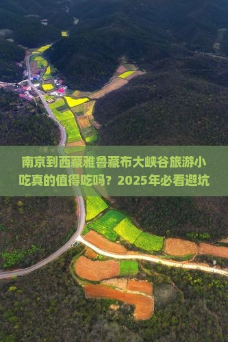 南京到西藏雅鲁藏布大峡谷旅游小吃