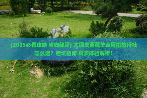 太原去西藏羊卓雍措旅行社