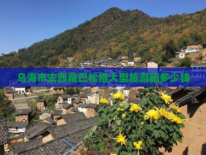 乌海市去西藏巴松措大型旅游团