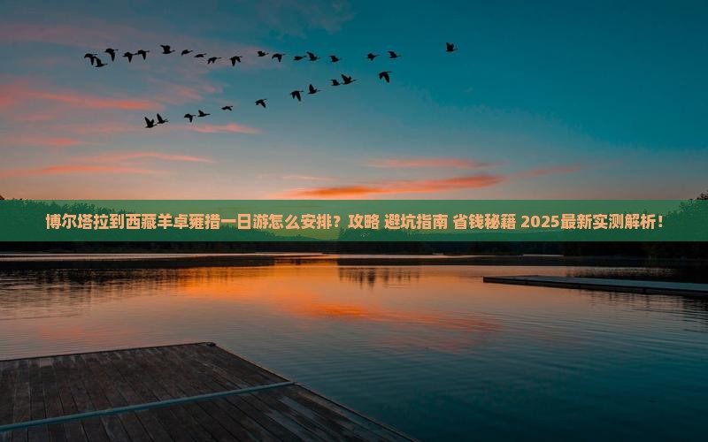 博尔塔拉到西藏羊卓雍措一日