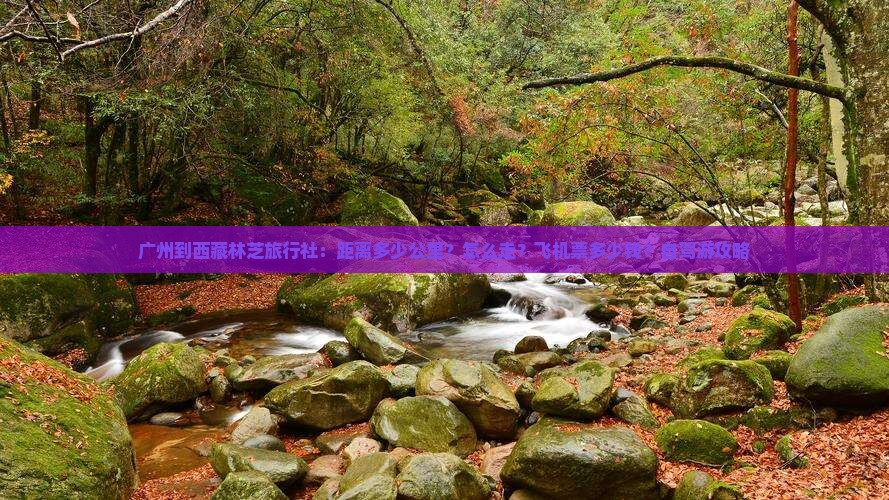 广州到西藏林芝旅行社