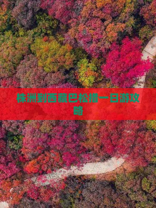 株洲到西藏巴松措一日