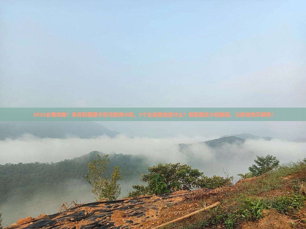 来宾到西藏卡定沟旅游小吃
