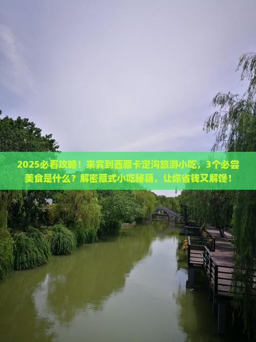 来宾到西藏卡定沟旅游小吃