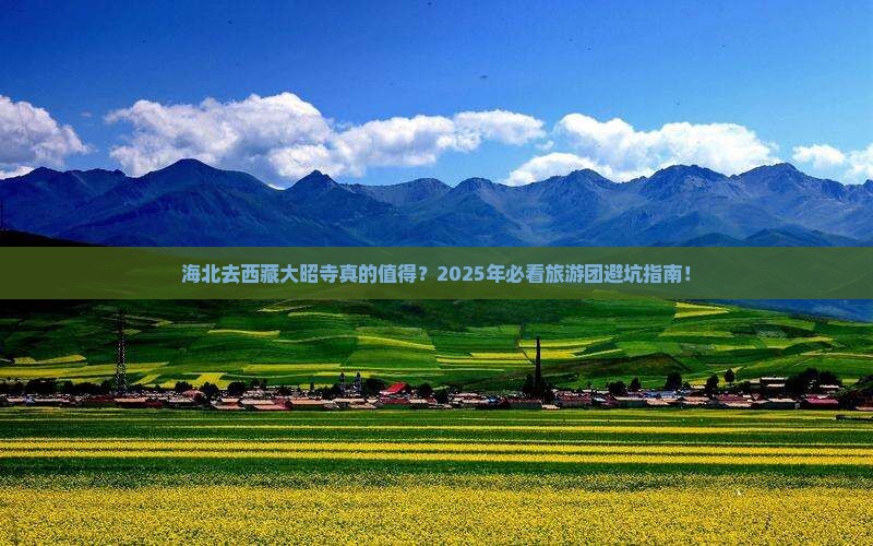 海北去西藏大昭寺大型旅游团