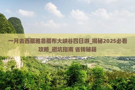 一月去西藏雅鲁藏布大峡谷四日游
