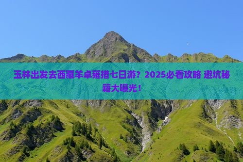 玉林去西藏羊卓雍措七日游