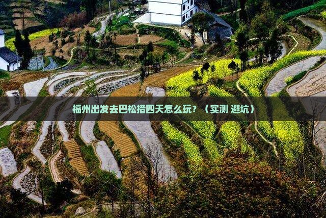福州到西藏巴松措四日游