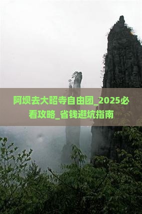 阿坝去西藏大昭寺自由团