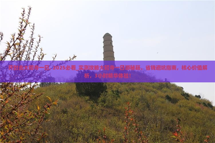 开封去西藏大昭寺一日