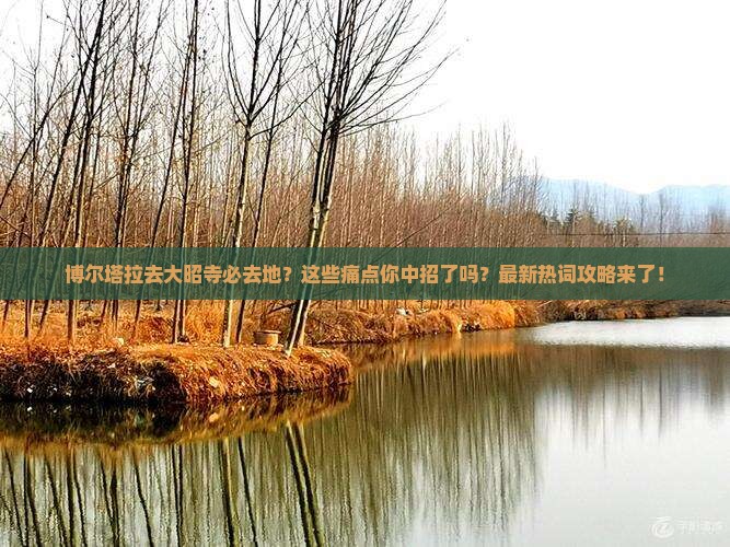 博尔塔拉去西藏大昭寺必去地