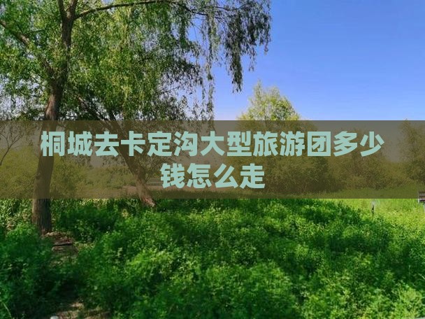桐城去西藏卡定沟大型旅游团