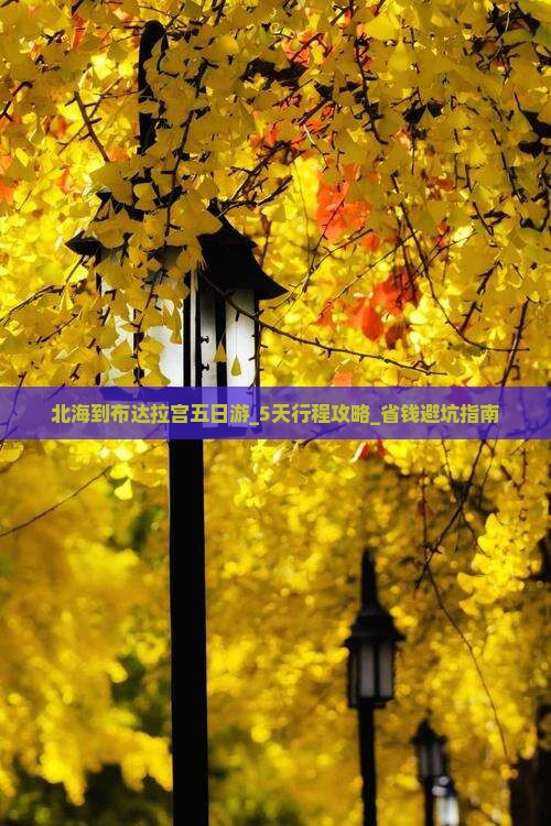 北海到西藏布达拉宫五日游