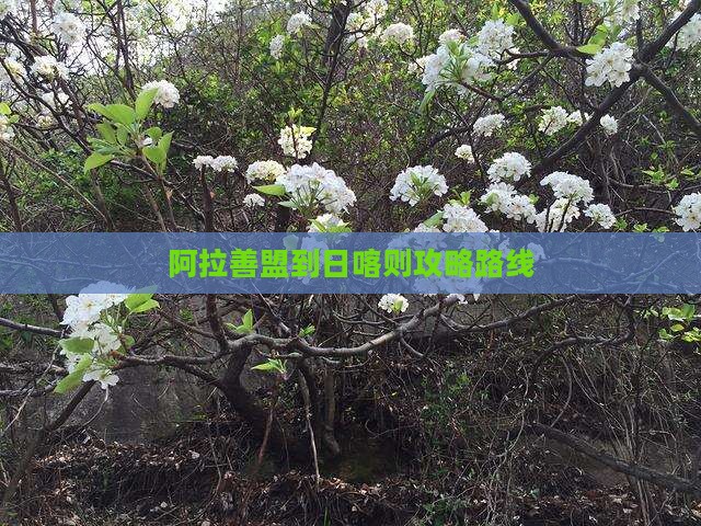 阿拉善盟到西藏日喀则攻略