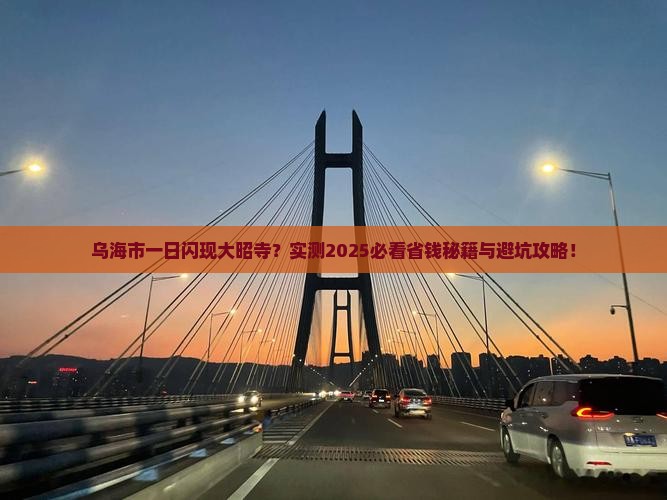乌海市到西藏大昭寺一日