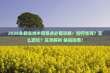 永新去西藏纳木措景点