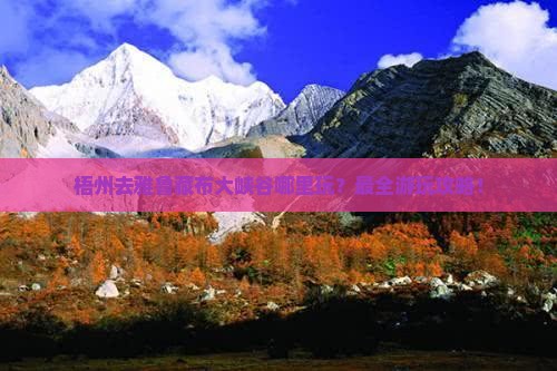 梧州去西藏雅鲁藏布大峡谷哪里玩