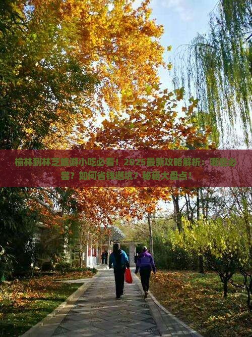 榆林到西藏林芝旅游小吃