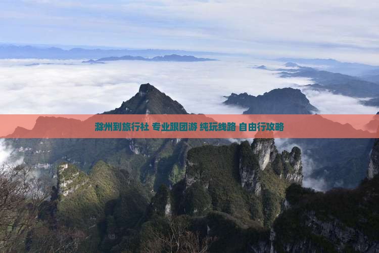 滁州到西藏旅行社