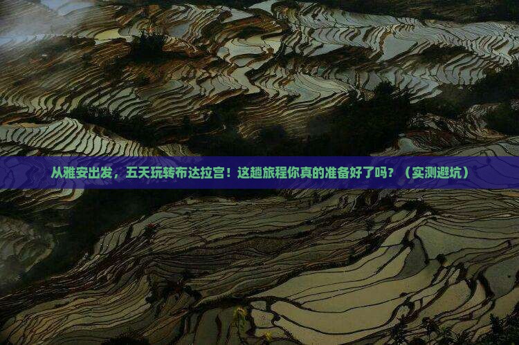 雅安去西藏布达拉宫五日游