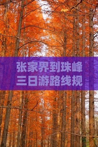 张家界到西藏珠峰大本营三日游