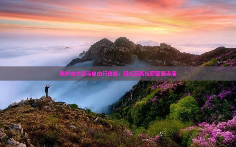 泰州去西藏大昭寺自由行