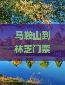 马鞍山到西藏林芝门票