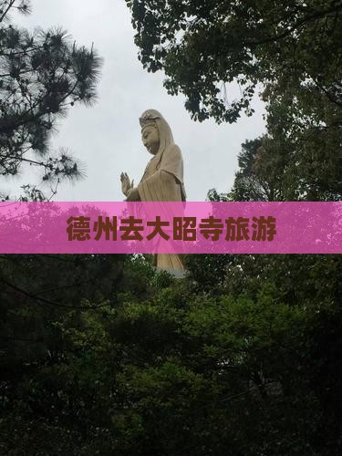德州去西藏大昭寺旅游