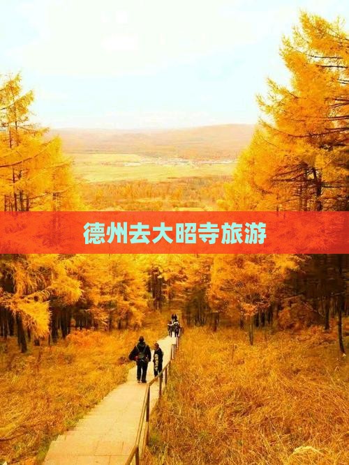 德州去西藏大昭寺旅游
