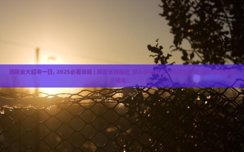 酒泉去西藏大昭寺一日