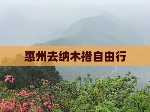 惠州去西藏纳木措自由行