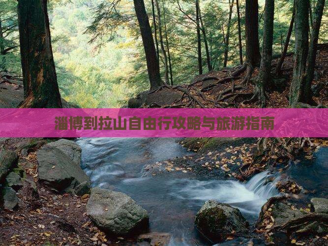 淄博去西藏色季拉山自由行